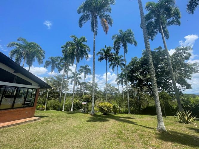 Finca en  Venta en Cerritos, Pereira - Miniatura 3