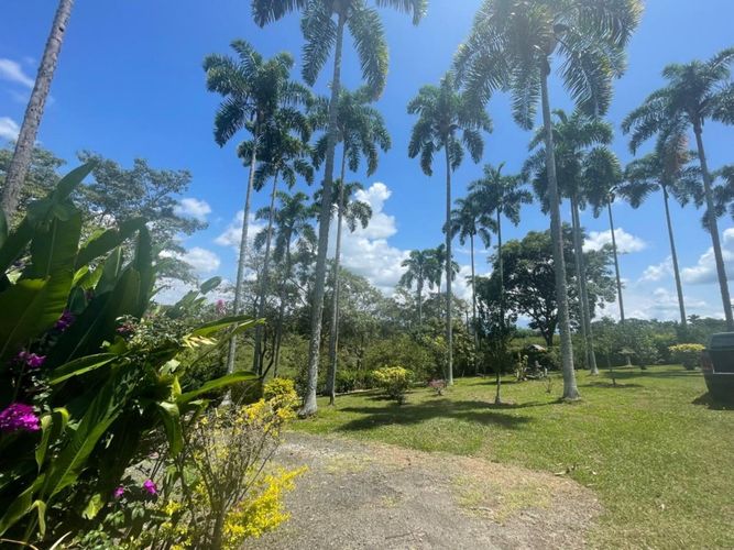Finca en  Venta en Cerritos, Pereira - Miniatura 7