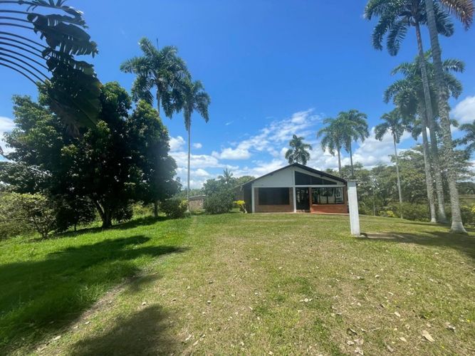 Finca en  Venta en Cerritos, Pereira - Miniatura 8