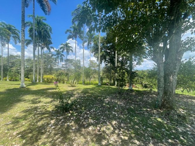 Finca en  Venta en Cerritos, Pereira - Miniatura 10