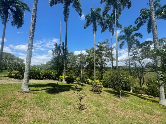 Finca en  Venta en Cerritos, Pereira - Miniatura 11