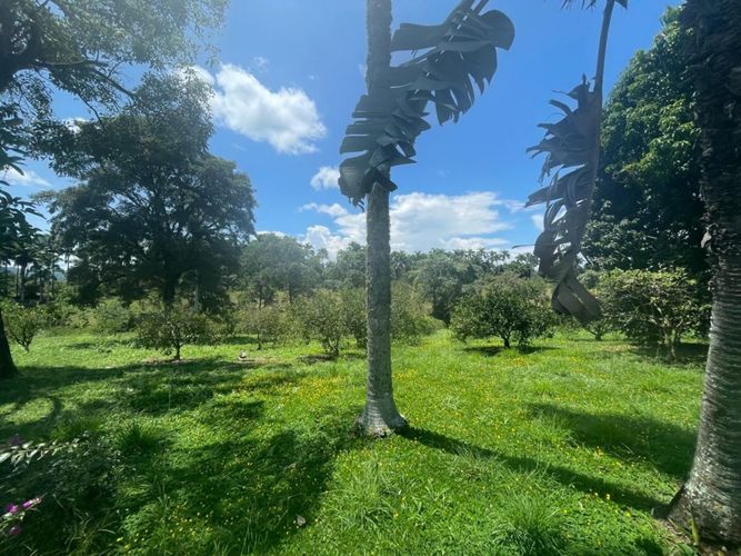 Finca en  Venta en Cerritos, Pereira - Miniatura 12