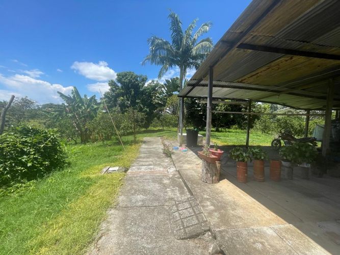 Finca en  Venta en Cerritos, Pereira - Miniatura 14