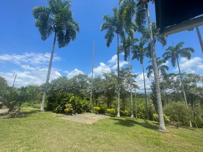 Finca en  Venta en Cerritos, Pereira - Miniatura 16