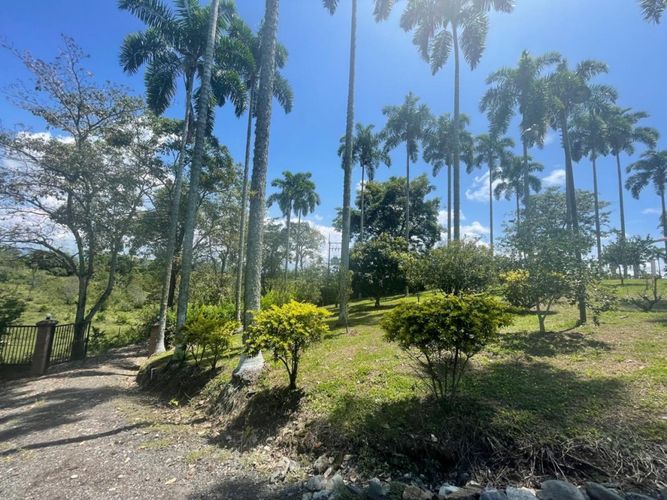 Finca en  Venta en Cerritos, Pereira - Miniatura 17