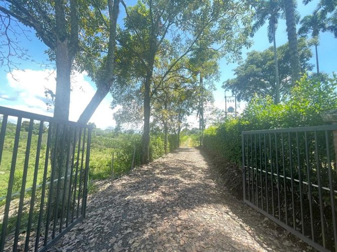 Finca en  Venta en Cerritos, Pereira - Miniatura 18