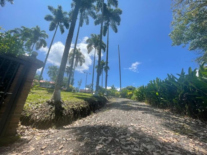 Finca en  Venta en Cerritos, Pereira - Miniatura 19