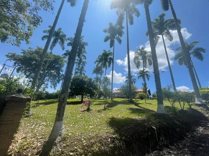 Finca en  Venta en Cerritos, Pereira - Miniatura 20