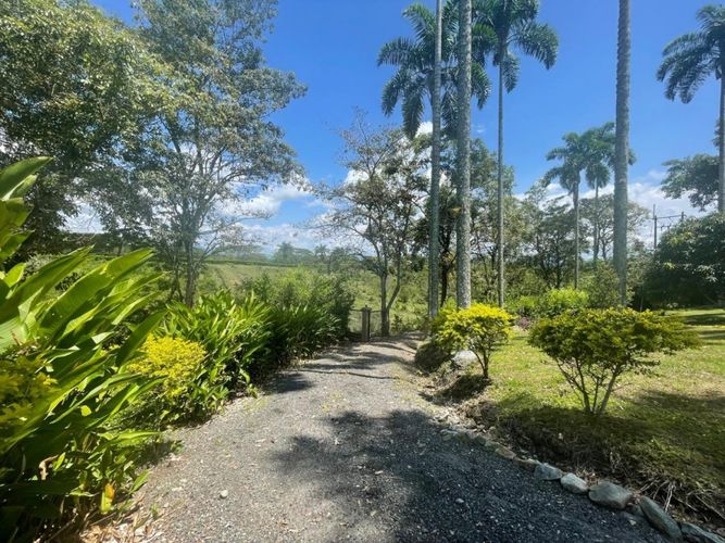Finca en  Venta en Cerritos, Pereira - Miniatura 21