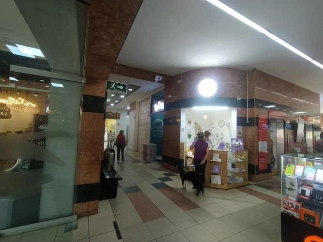 Local en arriendo en Cañaveral, Floridablanca - Miniatura 15