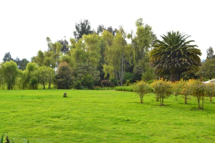 Finca en  Arriendo en Los rosales, El rosal - Miniatura 4