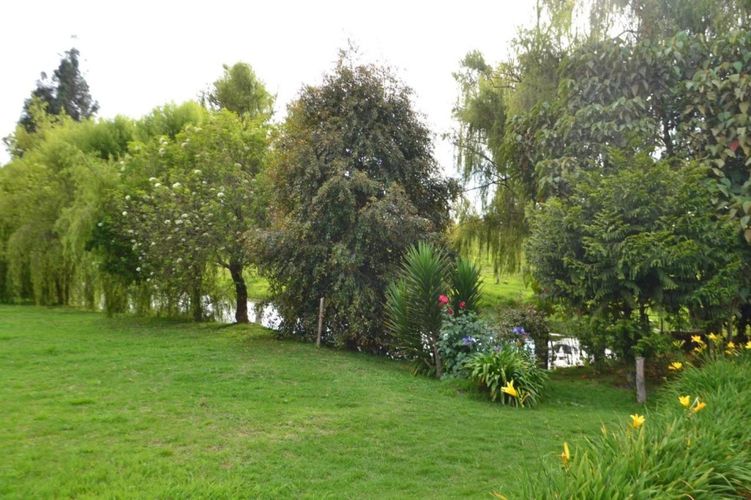 Finca en  Arriendo en Los rosales, El rosal - Miniatura 15