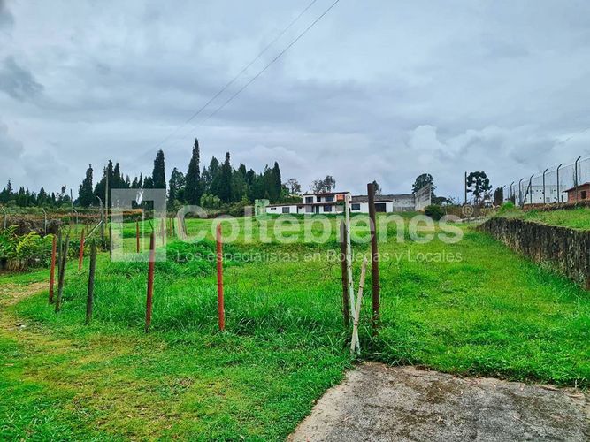 Finca en  Arriendo en San jose, Guarne - Miniatura 5