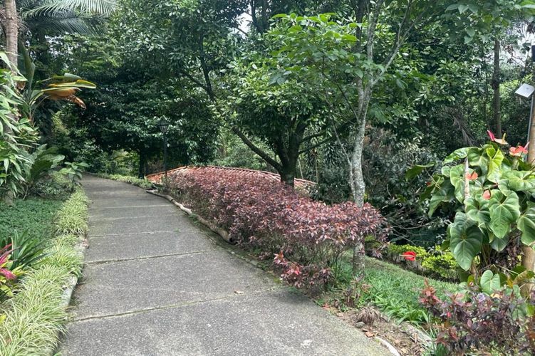 Casa en  Arriendo en La inmaculada, Envigado - Miniatura 21