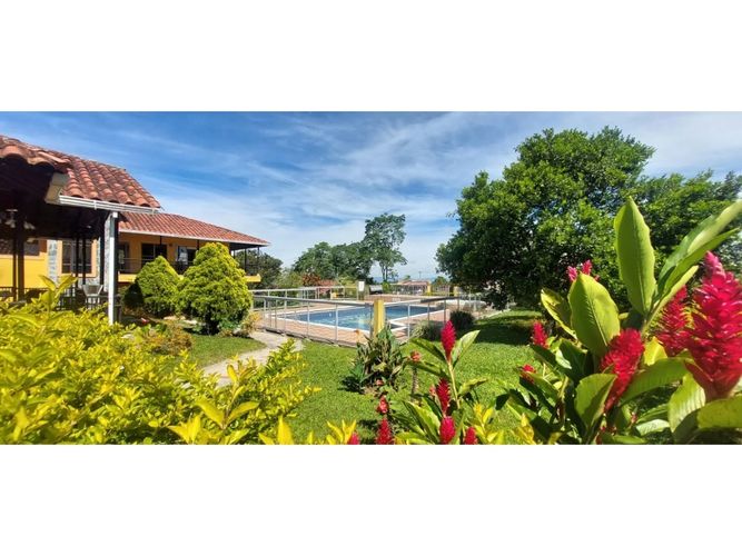 Finca en  Arriendo en Circasia - Imagen 1