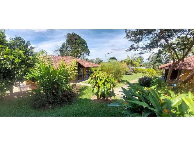 Finca en  Arriendo en Circasia - Miniatura 20