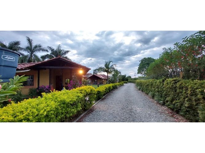 Finca en  Arriendo en Circasia - Miniatura 29