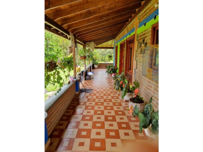 Finca en venta en Pereira - Miniatura 6