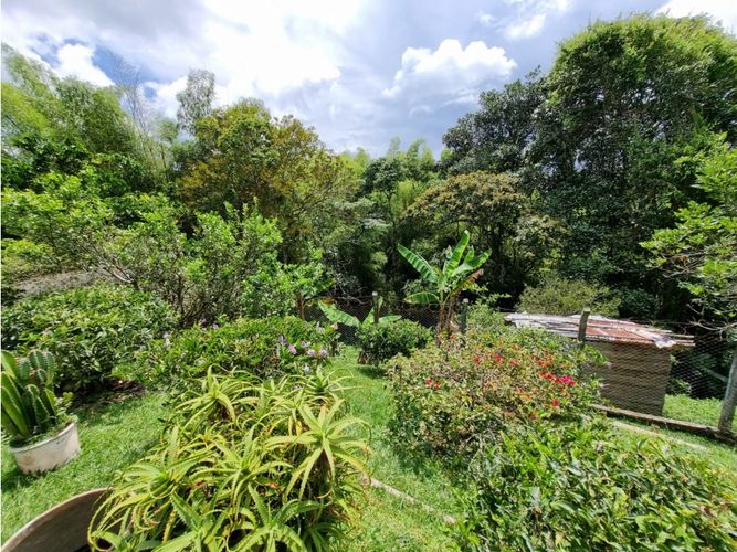 Finca en venta en Pereira - Miniatura 9