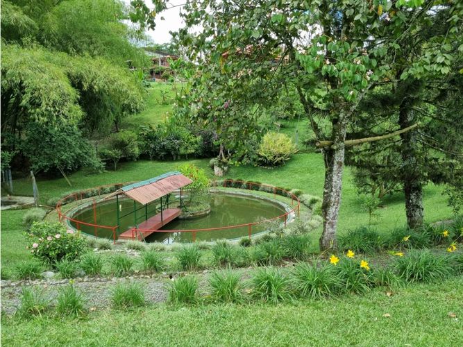 Finca en venta en Pereira - Miniatura 12