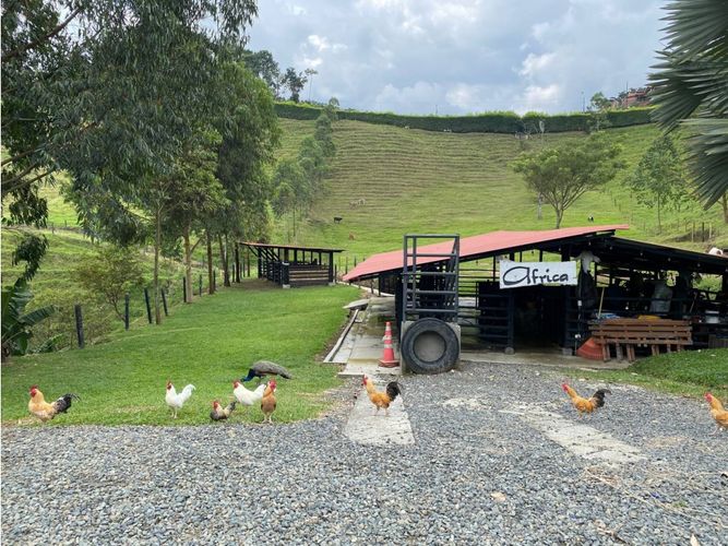 Finca en  Arriendo en Pereira - Miniatura 22