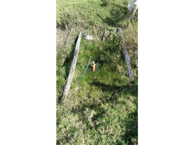 Finca en  Venta en Santa sofia - Imagen 1