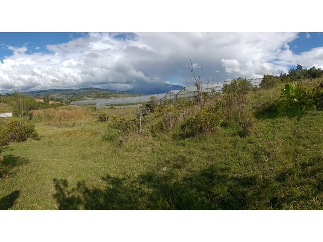 Finca en  Venta en Santa sofia - Miniatura 2