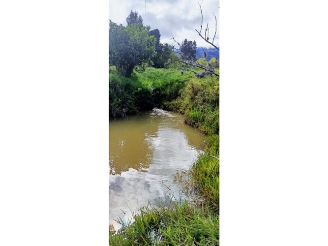Finca en  Venta en Santa sofia - Miniatura 4