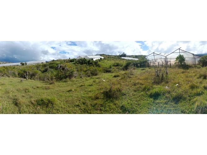 Finca en  Venta en Santa sofia - Miniatura 5