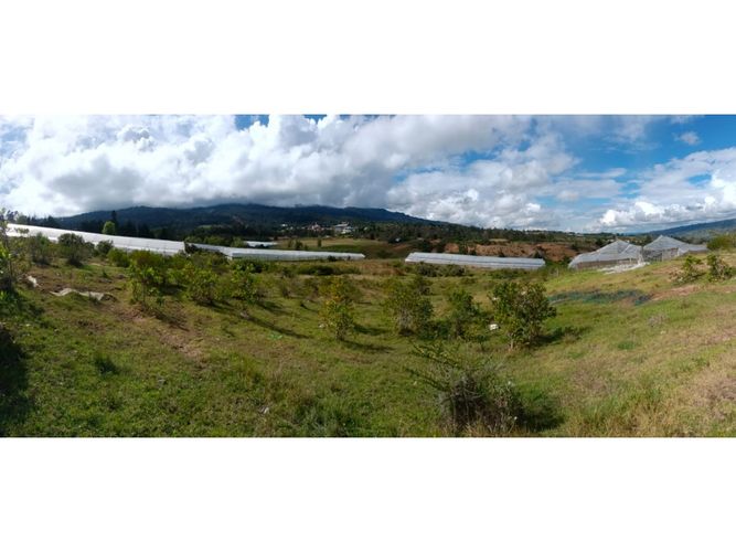 Finca en  Venta en Santa sofia - Miniatura 6