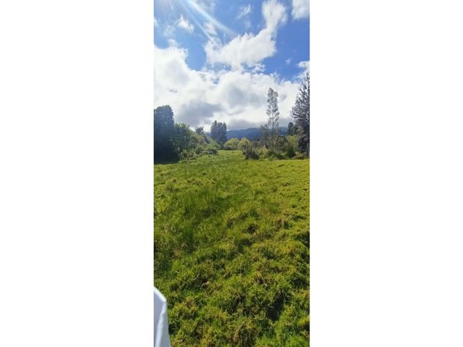 Finca en  Venta en Santa sofia - Miniatura 7