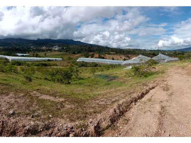 Finca en  Venta en Santa sofia - Miniatura 8