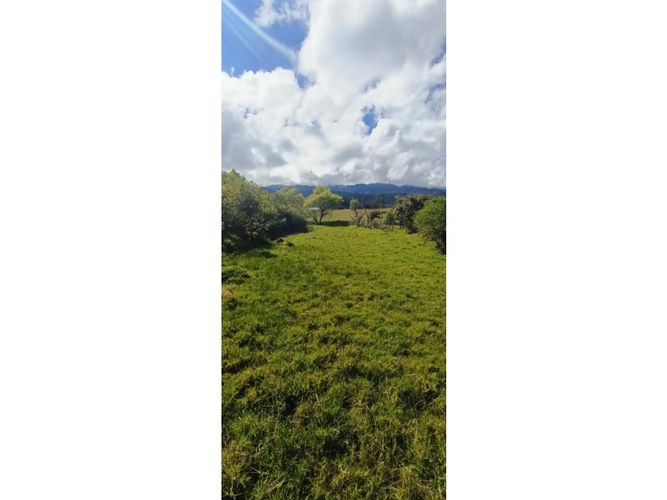 Finca en  Venta en Santa sofia - Miniatura 9