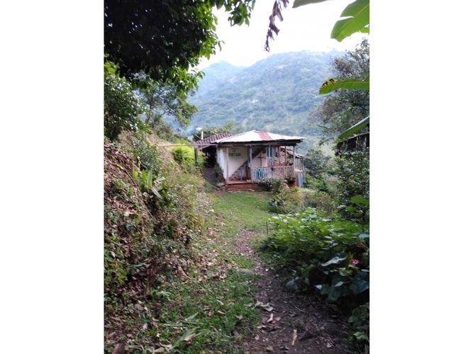 Finca en  Venta en Genova - Miniatura 2