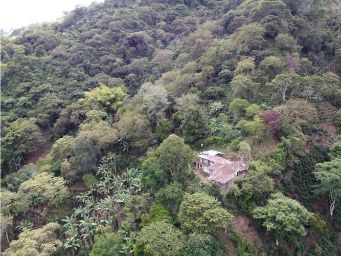 Finca en  Venta en Genova - Miniatura 4