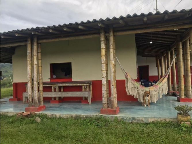 Finca en  Venta en Calarcá - Miniatura 2