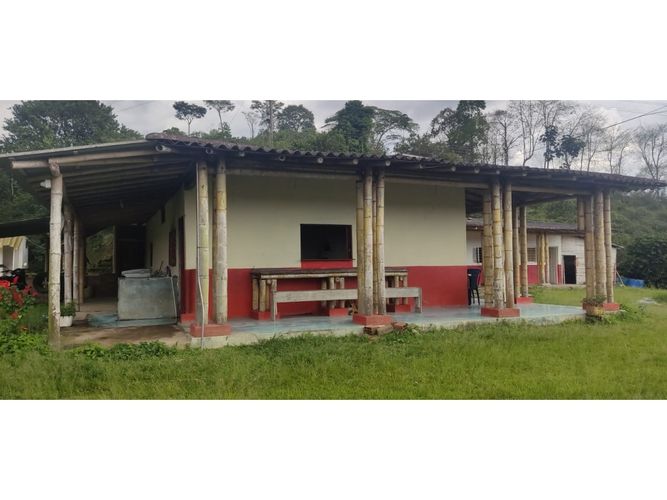 Finca en  Venta en Calarcá - Miniatura 3