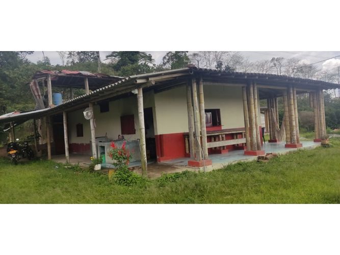 Finca en  Venta en Calarcá - Miniatura 4