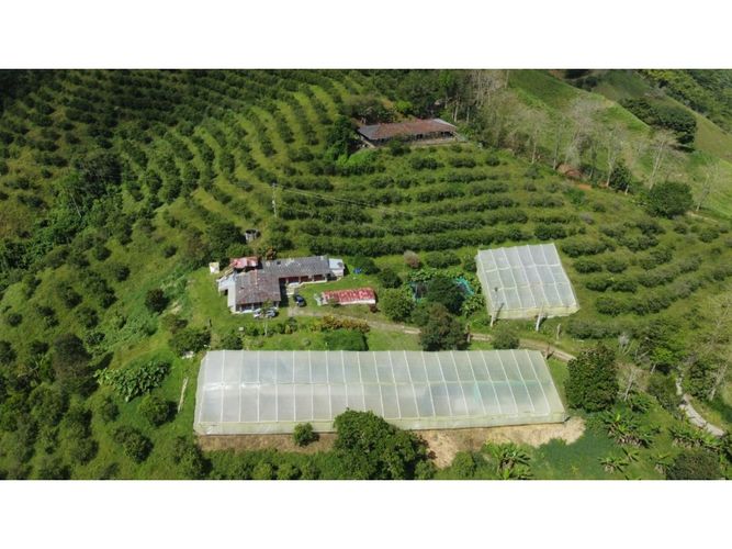 Finca en  Venta en Calarcá - Miniatura 10