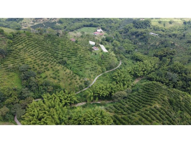 Finca en  Venta en Calarcá - Miniatura 11