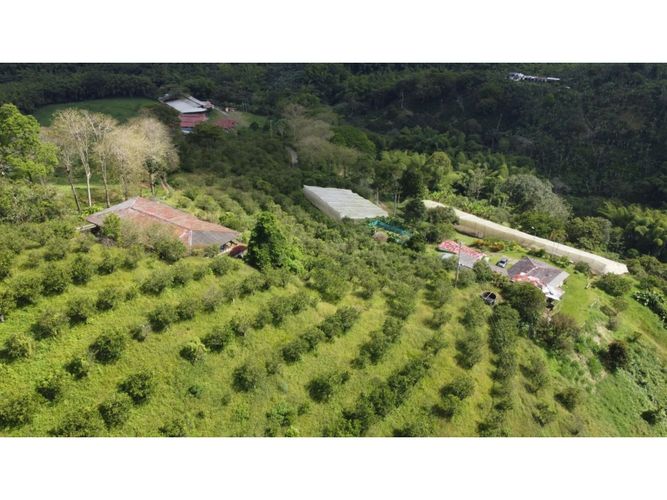 Finca en  Venta en Calarcá - Miniatura 13