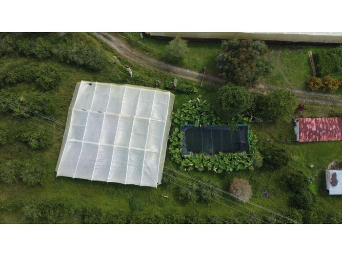 Finca en  Venta en Calarcá - Miniatura 14