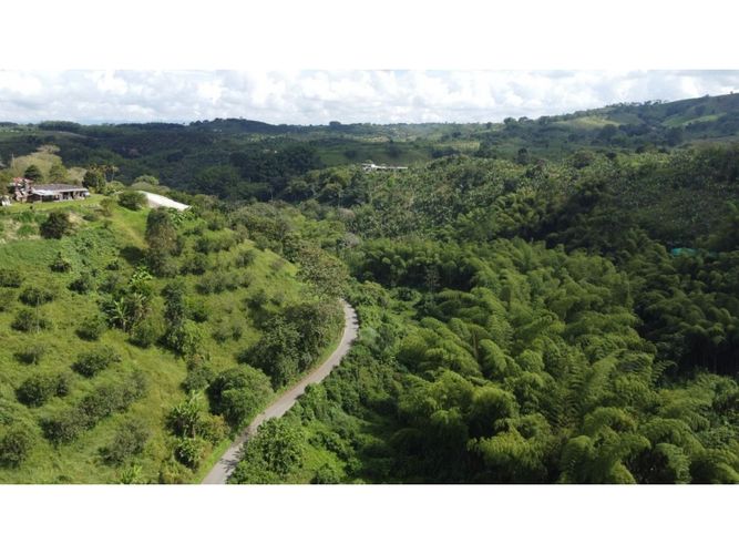 Finca en  Venta en Calarcá - Miniatura 17