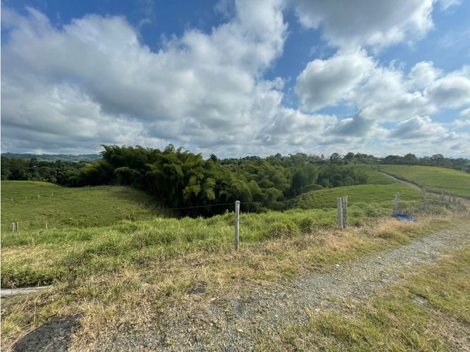 Finca en  Venta en Barcelona alta, Circasia - Imagen 1