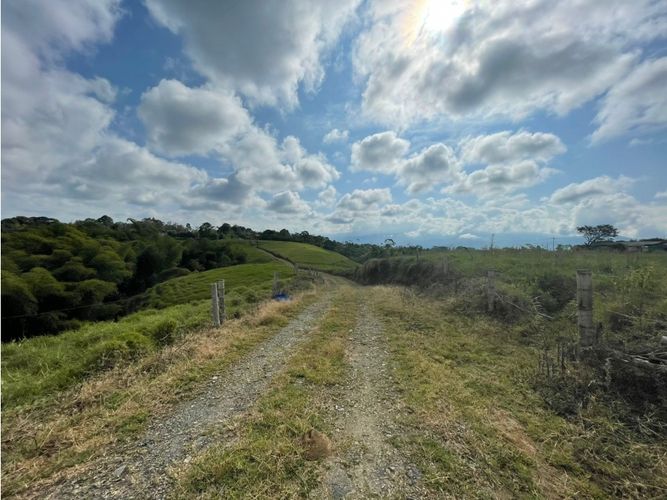 Finca en  Venta en Barcelona alta, Circasia - Miniatura 2