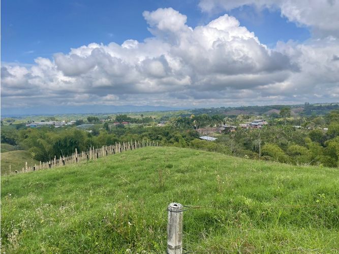 Finca en  Venta en Barcelona alta, Circasia - Miniatura 8