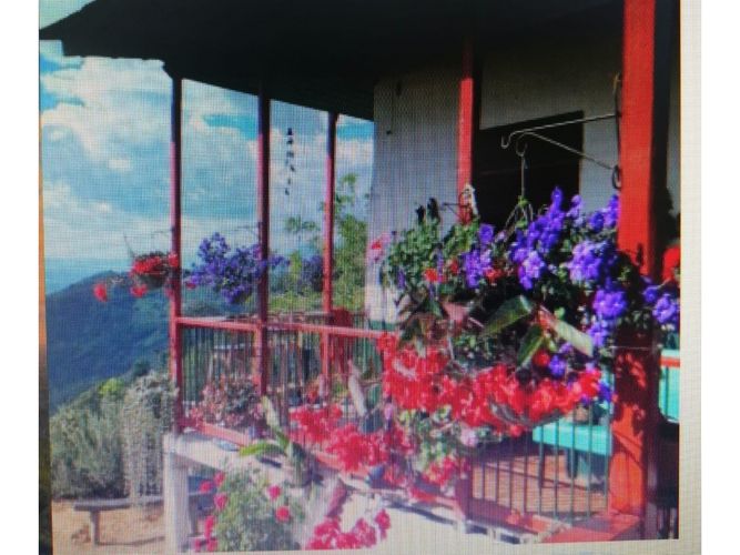 Finca en  Venta en Pijao - Imagen 1