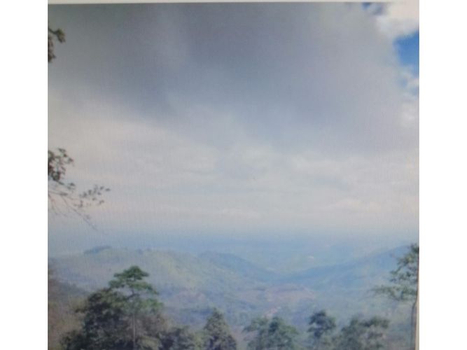 Finca en  Venta en Pijao - Miniatura 10