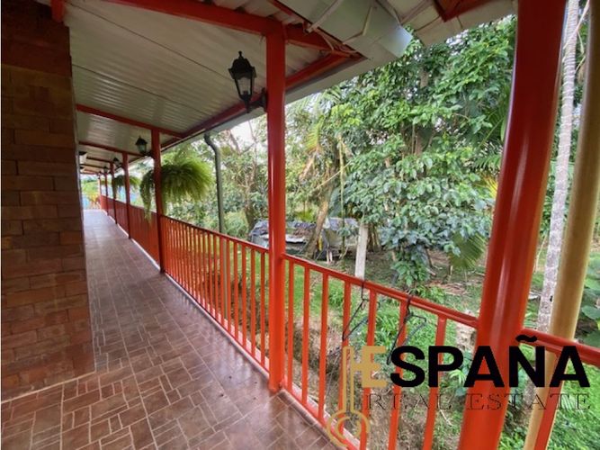 Finca en  Venta en El colegio - Miniatura 7