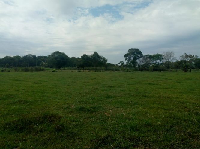 Finca en  Venta en Villavicencio - Imagen 1